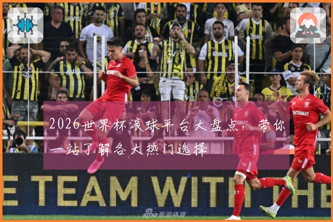 2026世界杯滚球平台大盘点，带你一站了解各大热门选择