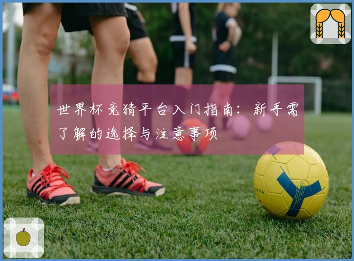 世界杯竞猜平台入门指南：新手需了解的选择与注意事项