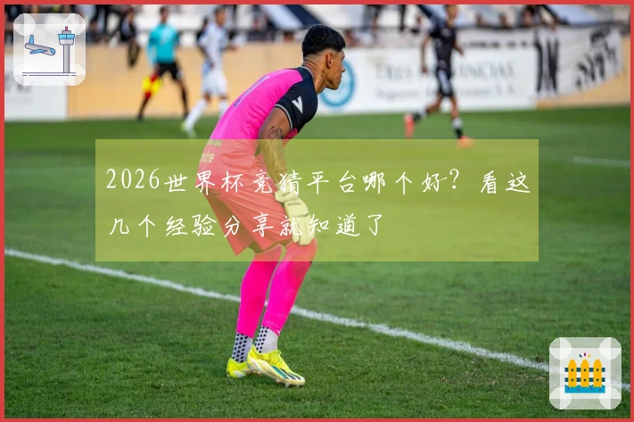 2026世界杯竞猜平台哪个好？看这几个经验分享就知道了