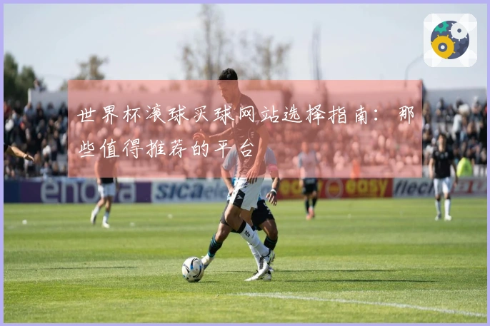 世界杯滚球买球网站选择指南：那些值得推荐的平台