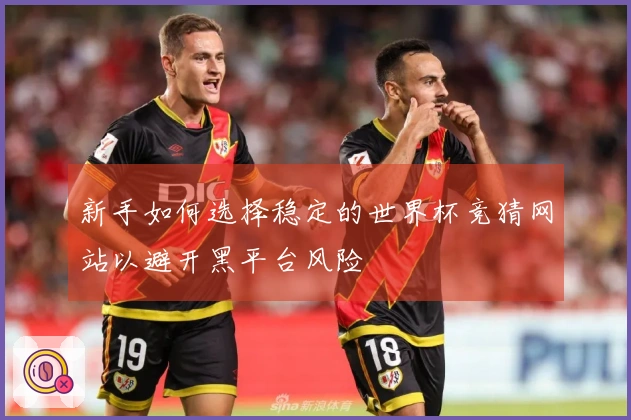 新手如何选择稳定的世界杯竞猜网站以避开黑平台风险
