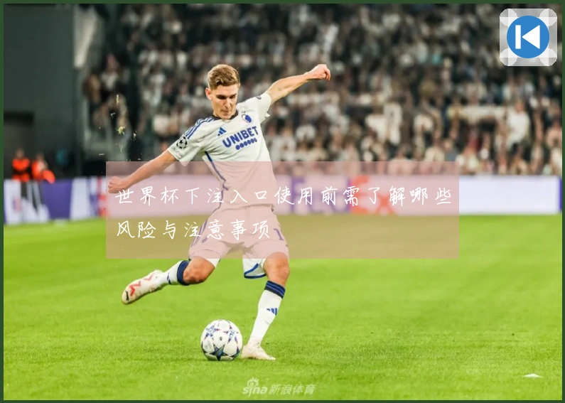 世界杯下注入口使用前需了解哪些风险与注意事项