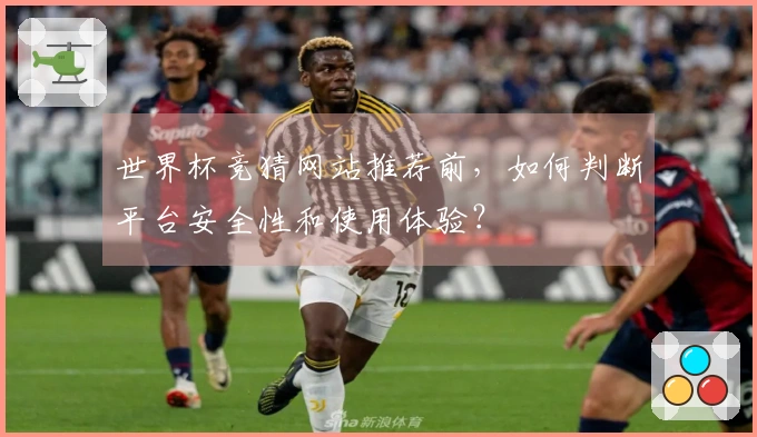 世界杯竞猜网站推荐前，如何判断平台安全性和使用体验？