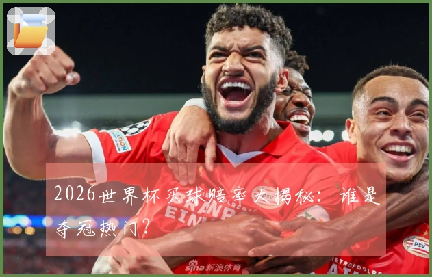 2026世界杯买球赔率大揭秘：谁是夺冠热门？