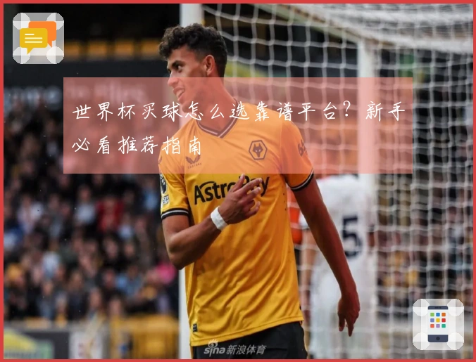 世界杯买球怎么选靠谱平台？新手必看推荐指南