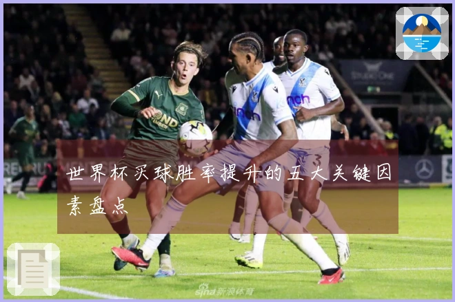 世界杯买球胜率提升的五大关键因素盘点