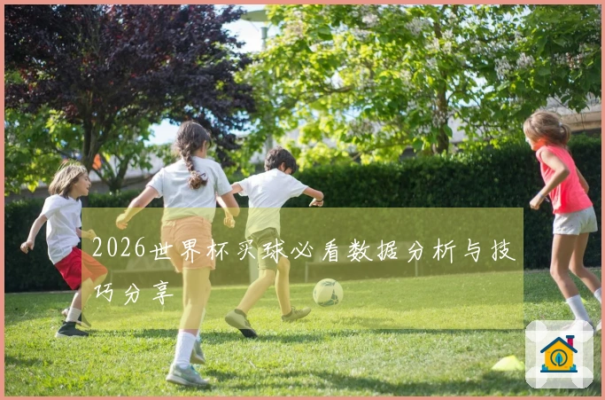 2026世界杯买球必看数据分析与技巧分享