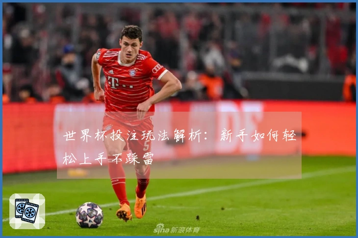 世界杯投注玩法解析：新手如何轻松上手不踩雷