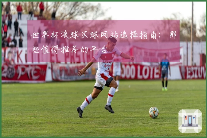 世界杯滚球买球网站选择指南：那些值得推荐的平台