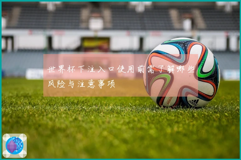 世界杯下注入口使用前需了解哪些风险与注意事项