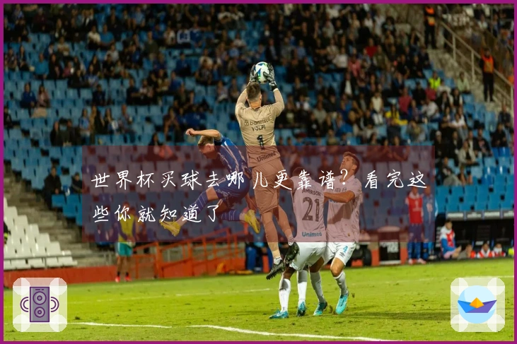 世界杯买球去哪儿更靠谱？看完这些你就知道了