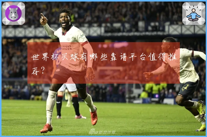 世界杯买球有哪些靠谱平台值得推荐？